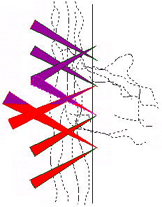 d-squared design project : Crowd 