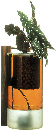 d-squared design project : Hydrovase 