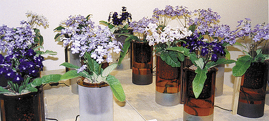 d-squared design project : Hydrovase