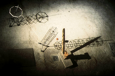 d-squared video project : Dance of the Cranes 