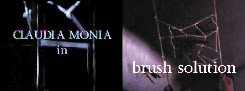 d-squared video project : Documentary:  Brush Solution 