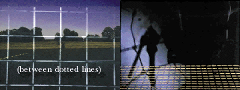 d-squared video project : Documentary:  Brush Solution 