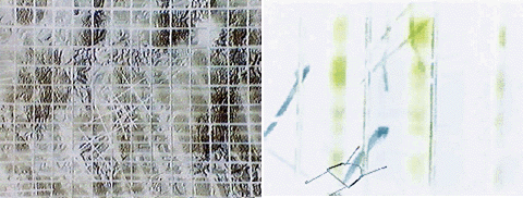 d-squared video project : Documentary:  Brush Solution 