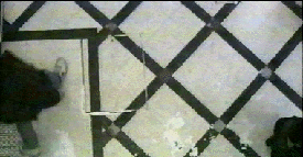 d-squared video project : Documentary:  Play and Display, 21 videos 