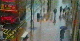 d-squared video project : Documentary:  Play and Display, 21 videos 