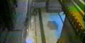 d-squared video project : Documentary:  Play and Display, 21 videos 